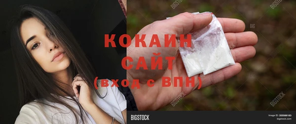 ПСИЛОЦИБИНОВЫЕ ГРИБЫ Протвино