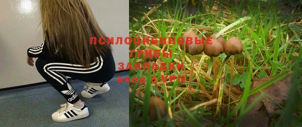 альфа пвп Пролетарск