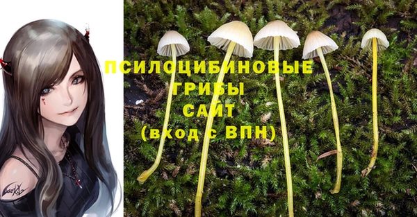 альфа пвп Пролетарск