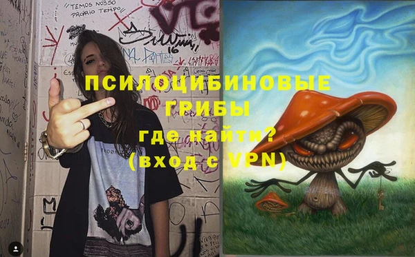 альфа пвп Пролетарск
