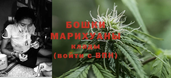 ПСИЛОЦИБИНОВЫЕ ГРИБЫ Протвино
