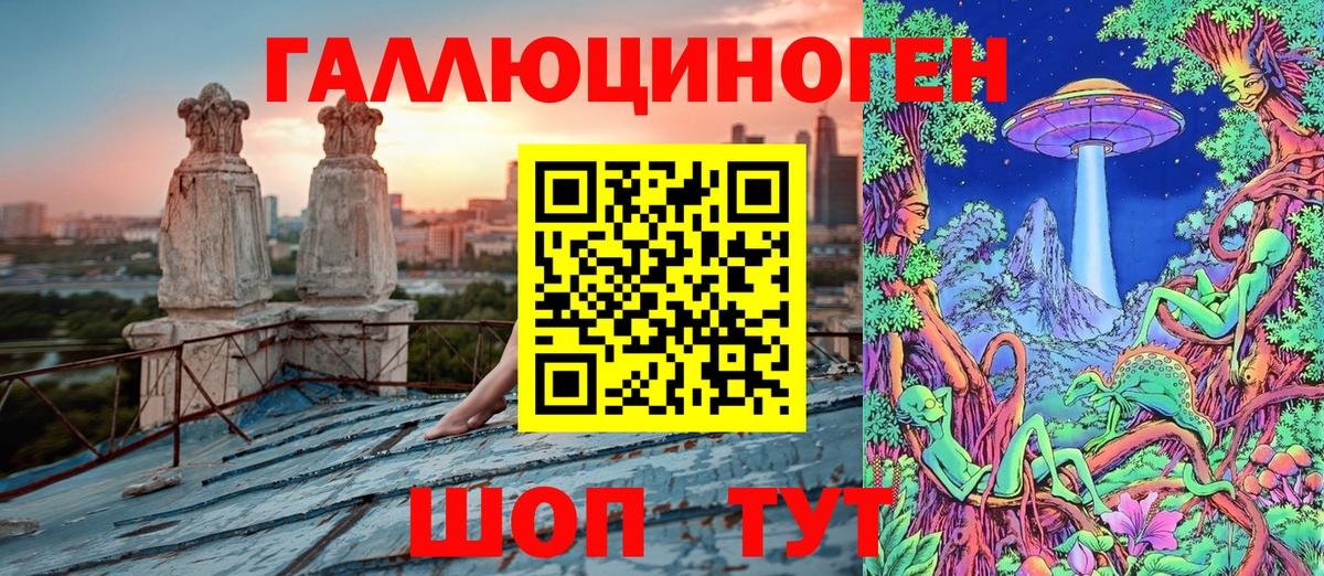 Галлюциногенные грибы Psilocybine cubensis Вязьма